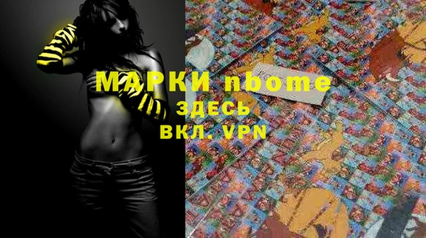 стаф Новокубанск