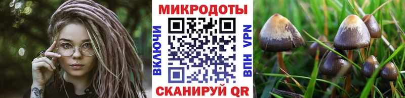 Псилоцибиновые грибы MAGIC MUSHROOMS  Тимашёвск 